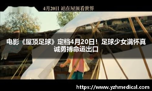 悟空体育